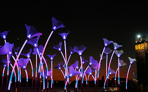 「2022台灣燈會在高雄」療癒新作亮相 ! 「巨人的夢幻花園」點亮駁二