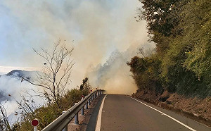 合歡山大火已控制!台14甲翠峰昆陽路段機動管制可通行