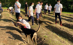 新北市110年人氣校園犬出爐  淡商「巧克力」近四萬票奪冠