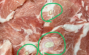 豬肉冒出「米色粉瘤」還能吃嗎?毒理專家解答