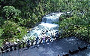 森林療癒之旅!到八仙山賞美景泡谷關溫泉