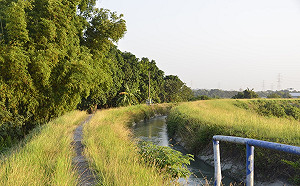 歷史與自然的文化綠廊!山海圳國家綠道探索台灣之美