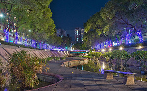 欣賞新北新莊中港大排耶誕燈海 繽紛色彩超好拍