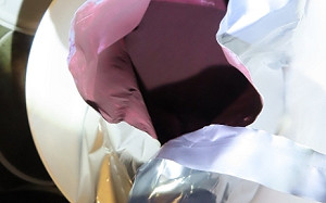 最新邊境檢驗！7項不合格：義大利山桑子萃取物輻射超標