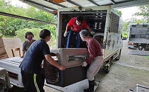 老字號劉香蘭動物收容所退場 新北動保處助50毛孩找到新家