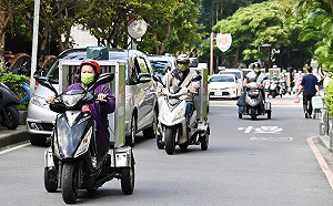 公投黃金 72 小時 民進黨新北市黨部推「小蜜蜂巷戰計畫」