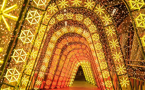 暢遊耶誕城這樣搭不塞車  三大燈區美照打卡全攻略