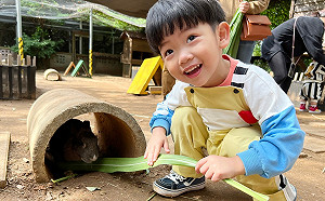 酸到變形！蔡阿嘎吃「柑仔」秒變臉  蔡桃貴樂：我愛吃酸！