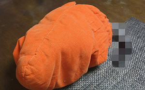 奴才換熱水袋！回頭竟見它長尾巴