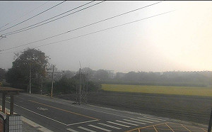 西部空氣品質拉警報！環保署：雲嘉南恐達紅色警示