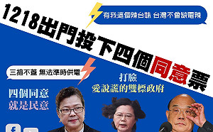公投倒數前跳電、停電事故頻傳 她批：下一次又找什麼動物來背黑鍋