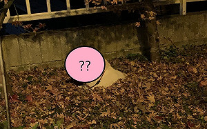 (影)狗不回家埋落葉堆！網笑：在泡湯？