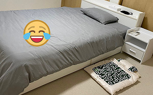 睡袋被忽視！兩貓躺大床：不對嗎？