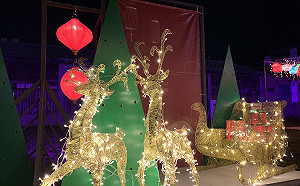 特色隧道光廊＋可愛麋鹿！台東客家學堂聖誕燈飾今晚點燈