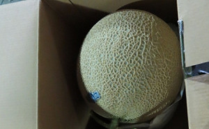 最新邊境檢驗！17項產品不合格：農藥殘留量超標達14件