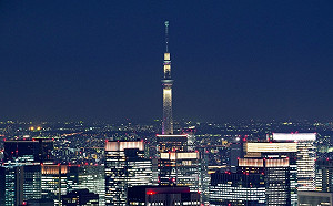 親子輕鬆遊東京！觀光計程車6大行程滿足各類包車需求