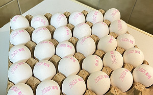 買賣更安心！明年起洗選蛋全面噴印溯源標示