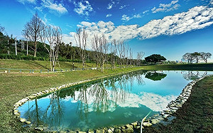 新北樹林河濱「雙」秘境 獲得國家金質獎肯定