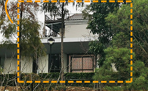 顏家莊園「自己發育長高了」？ 卓冠廷：秉持「柯南精神」查下去