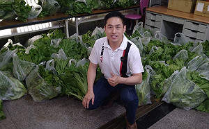 買高冷無毒芥菜贈貧戶  前嘉市議員黃盈智：一舉兩得