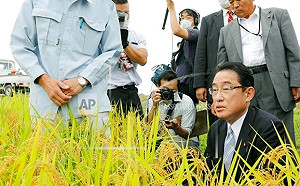 美國進口福島「核食」！「天之粒」稻米 10年後首次對美發貨