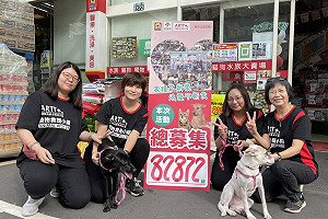 全台串連！募9萬罐頭幫浪浪過聖誕
