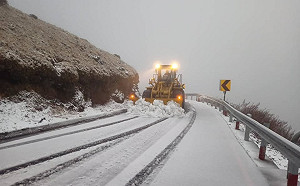 合歡山清晨下大雪！積雪6公分化身銀白世界