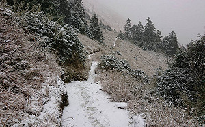 下雪了！雪霸369山莊積雪5公分 雪管處曝5條「高風險」登山路線