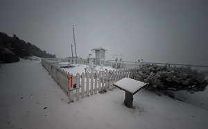 玉山降雪達排雲山莊！銀白雪霜灑滿山頭