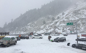 懶人包》上山追雪注意!3大賞雪注意事項一次看