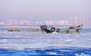 海冰封鎖青島！強烈寒流襲擊 山東膠州灣海水急凍
