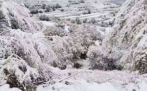 寒流侵襲 中國7成地區急速冷凍 18大城創下今年氣溫新低紀錄