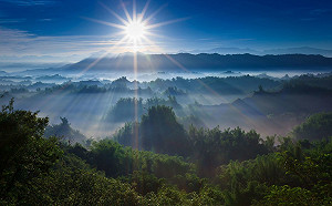 2022元旦連假瘋台南！7大特色行程大公開