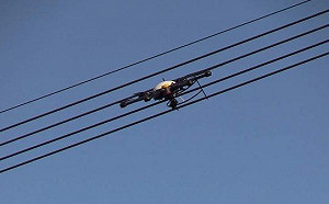 腦洞大開？俄研發「偷電」無人機 「蝙蝠」倒掛電線上充電