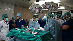 成大、杜克大學牛隻實驗 開啟心臟手術新頁