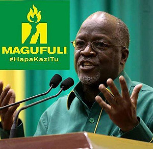 坦尚尼亞連續打擊盜獵  再搜出200公斤象牙