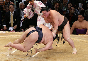 橫綱+金氏認證=於事無補--下（黃稔惠）