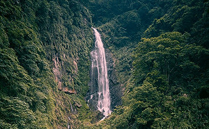 巨災後塵封22年  嘉義縣觀音瀑布元旦風華再現