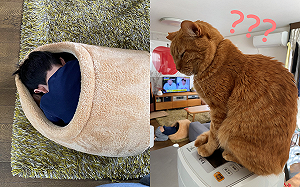 貓窩被小人類睡走！橘貓無言不忍看