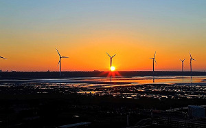 全球零時差欣賞台中美景 高美濕地4K高畫質服務上線