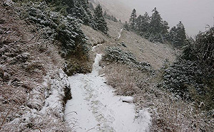冷氣團報到雪山下雪！雪管處列5條危險路段
