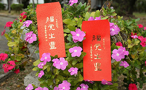 書法名家林榮森揮毫 立法院民主時刻館打送紅包袋