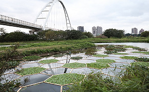 「新北濕地藝術季」開鑼　帶您一起賞藝術、聽音樂、逛市集