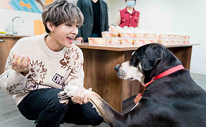 炎亞綸親手做鮮食助333政策   新北毛寶貝提前過新年