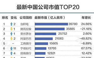 中國又在自慰了？中媒機構列市值500大企業 台積電變中國之首