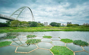 新北濕地藝術季1/8在新月橋下登場   品味人類與自然共生的風景