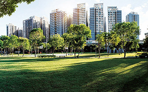 板橋浮洲合宜出租住宅釋出13戶 2月11日截止申請