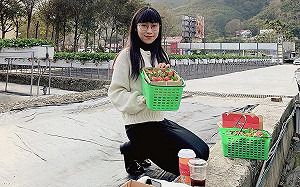 NanaQ極簡0保單！自曝轉念「決定買保險」關鍵理由