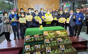 好釋多多 台東太麻里釋迦直送新北板橋農會