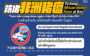 寄送家鄉豬肉製品來台大幅增加 移民署籲新住民齊防非洲豬瘟免受罰